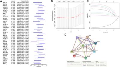 Development and Validation of a Novel Histone Acetylation-Related Gene Signature for Predicting the Prognosis of Ovarian Cancer